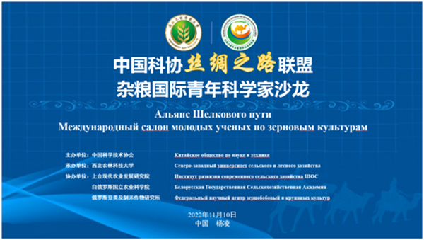 25ae958ca9554e3a8b48dab6155ec453.png image.png